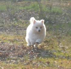 image006.jpg