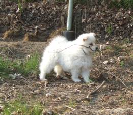 image008.jpg