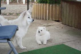 image024.jpg