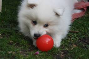 image036.jpg