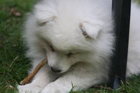 image040.jpg