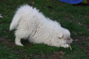 image048.jpg