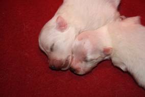 image020.jpg