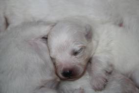 image034.jpg