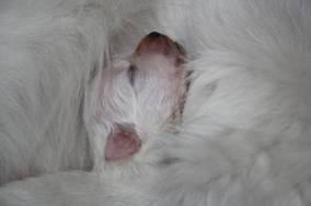 image036.jpg