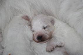 image040.jpg