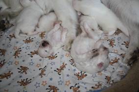 image050.jpg