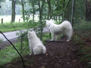 image032.jpg