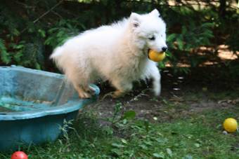 image046.jpg
