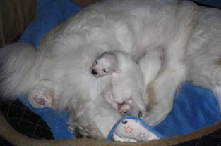 image004.jpg