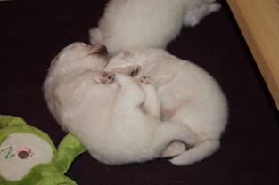 image012.jpg