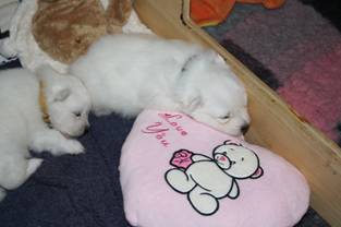 image020.jpg