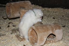 image048.jpg