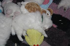 image032.jpg