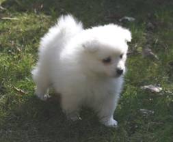 image002.jpg