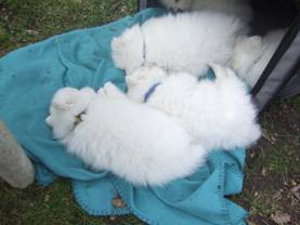 image048.jpg