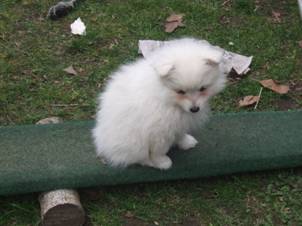 image020.jpg