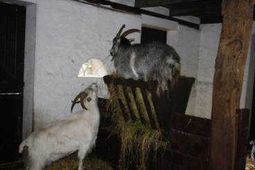 image002.jpg