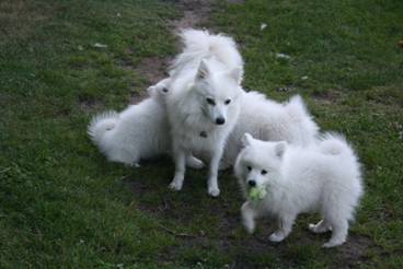 image014.jpg