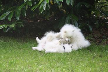 image018.jpg