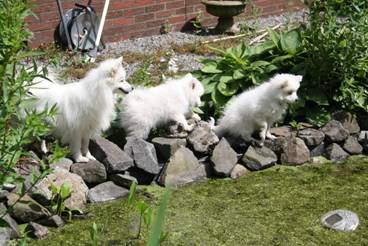 image024.jpg