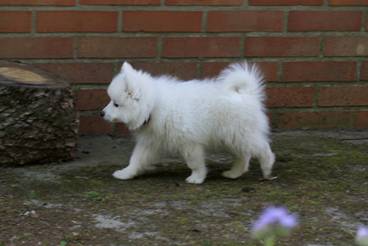 image010.jpg