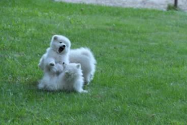 image062.jpg