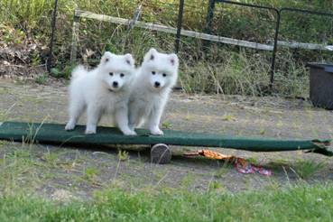 image038.jpg