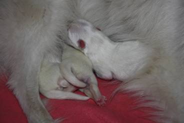 image006.jpg