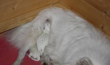 image008.jpg