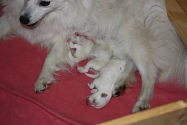 image012.jpg