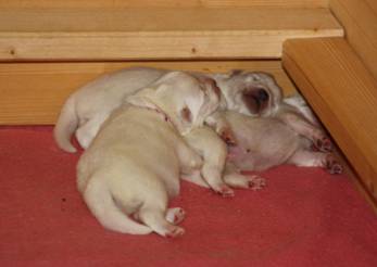 image038.jpg