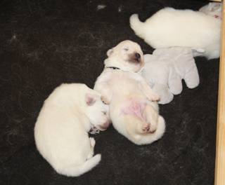 image006.jpg