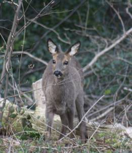 image010.jpg