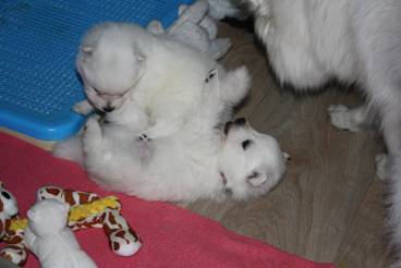 image006.jpg
