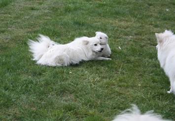 image010.jpg