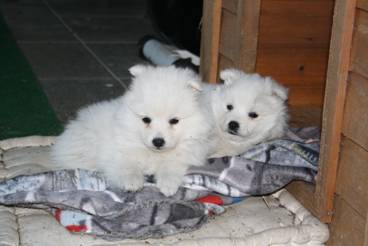 image020.jpg