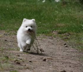 image028.jpg