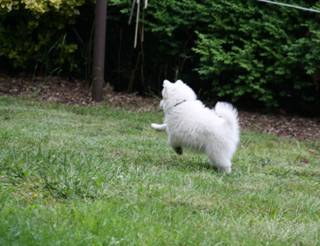 image032.jpg