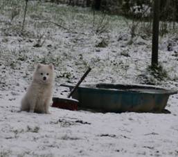 image014.jpg