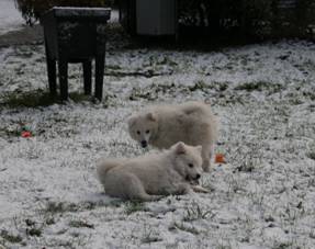 image018.jpg