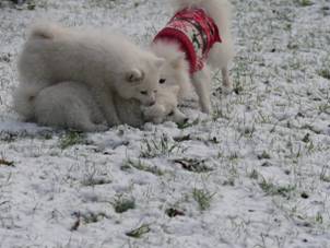 image020.jpg