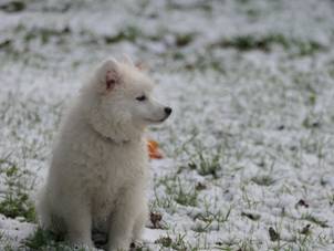 image030.jpg