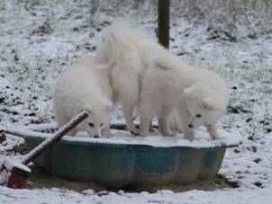image040.jpg