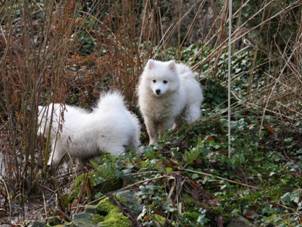 image074.jpg