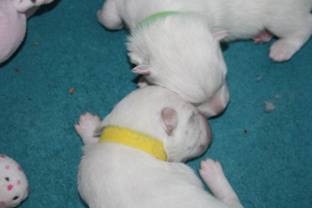 image018.jpg