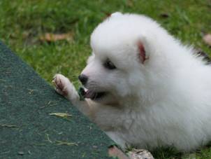 image048.jpg