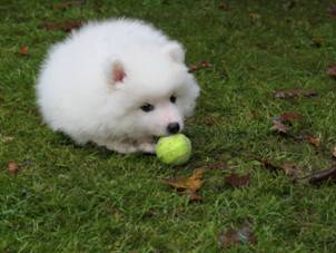 image006.jpg