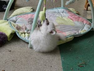 image020.jpg