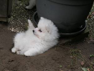 image030.jpg